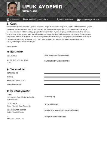 Sosyolog Cv Örnekleri cv indir